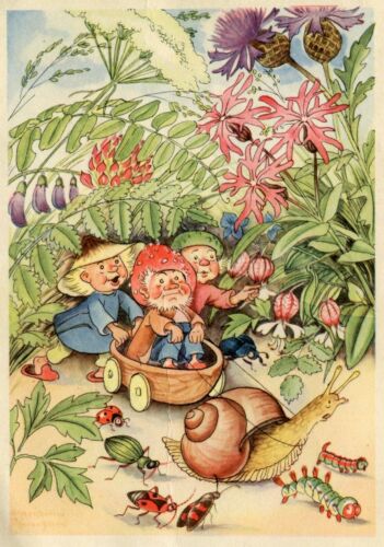Garden Dwarves Vintage 1950s Postcard Set - Made in Germany - Sonumbra